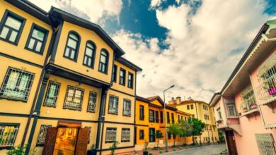 tarihi eser mulk alirken nelere dikkat edilmelidir